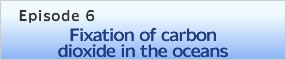 Episode 6 Fixation of carbon dioxide in the oceans